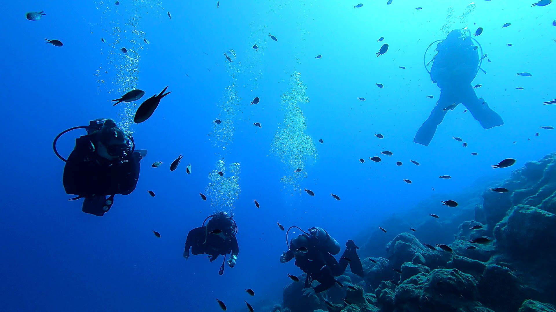 Summer_Escapes_Private_Diving-19