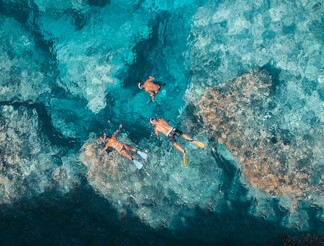 Private Snorkelling