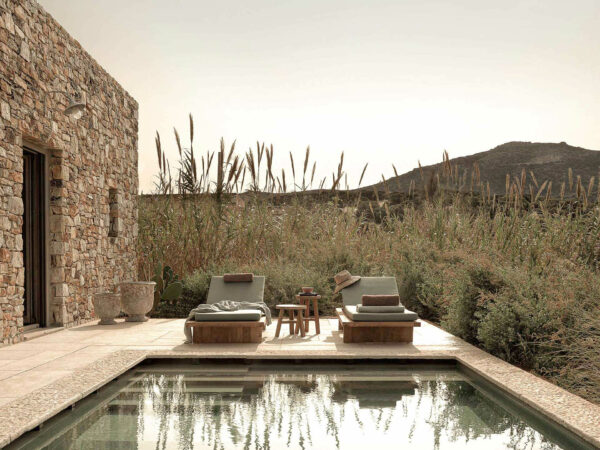Suite Bush & Beach